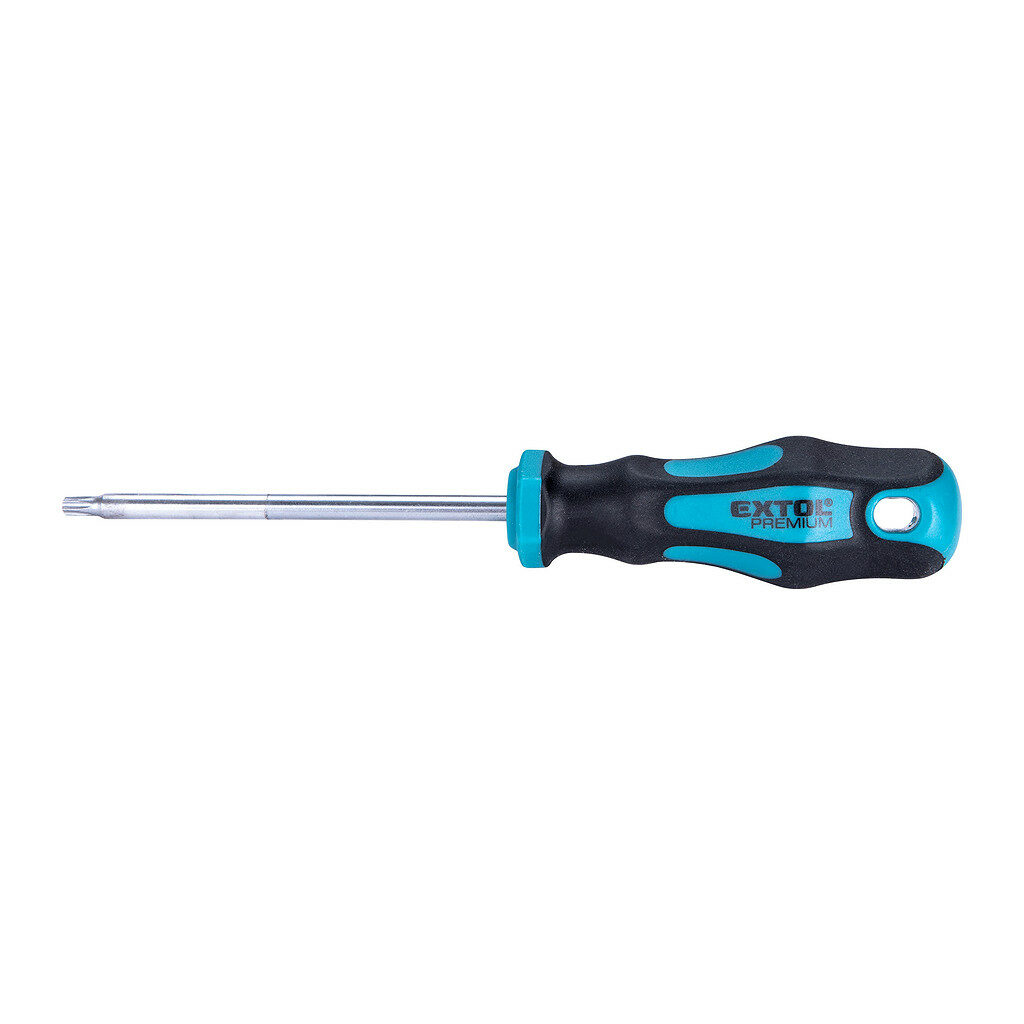 Extol Premium 8819247 - Skrutkovač TORX, magnetický, T25x100mm